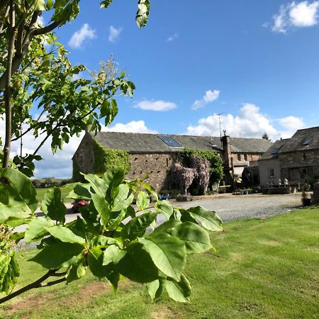 مبيت وإفطار Crosby Ravensworth Crake Trees Manor المظهر الخارجي الصورة