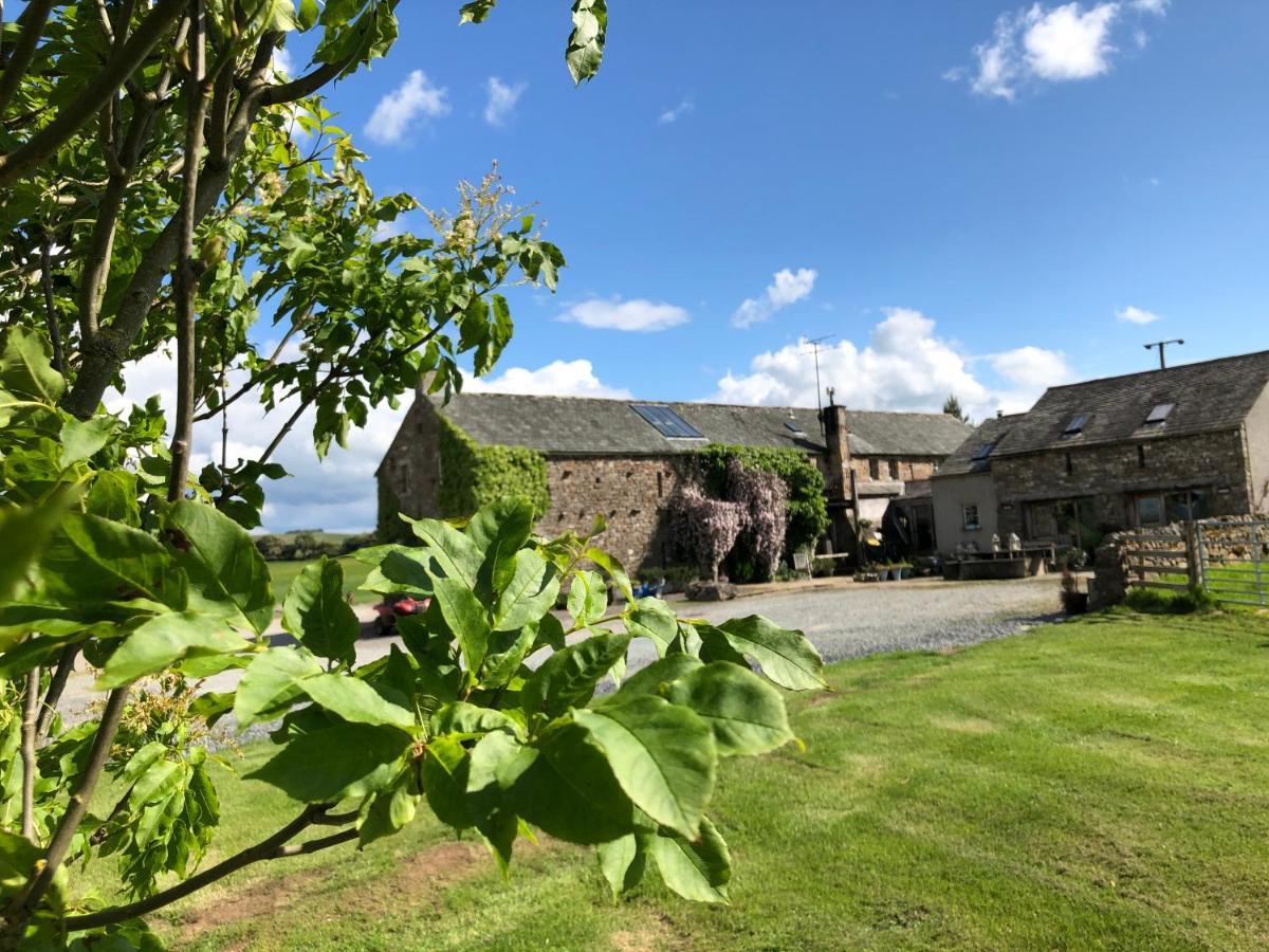 مبيت وإفطار Crosby Ravensworth Crake Trees Manor المظهر الخارجي الصورة